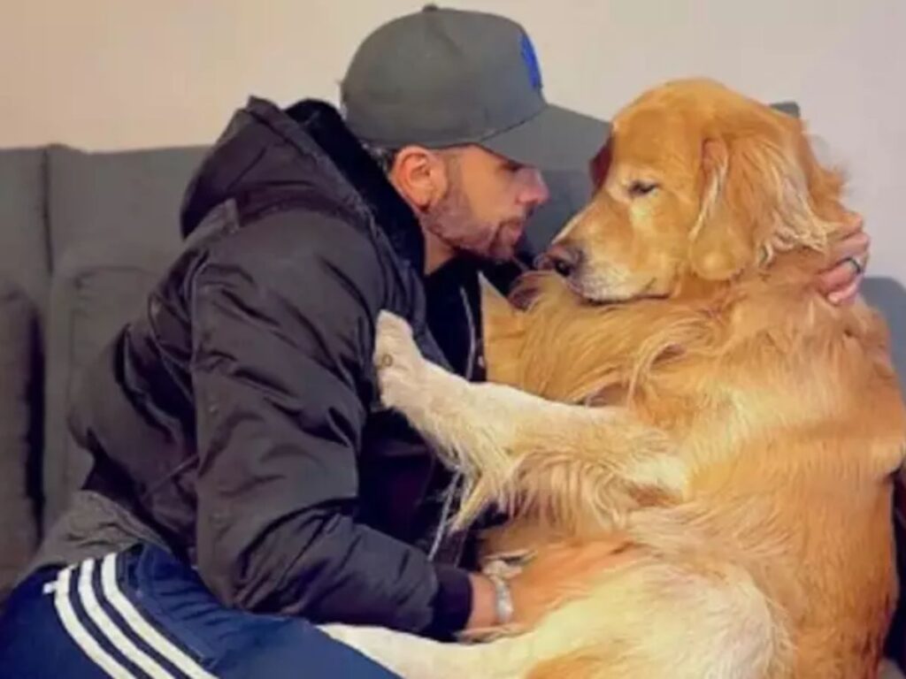 Lauda do cão Joca, que morreu em voo da Gol, é divulgado