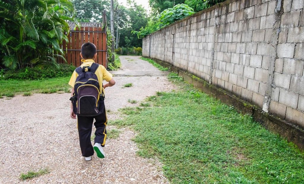 2158742 Menino Caminhando Para A Escola Com Uma Mochila Gratis Foto(1)