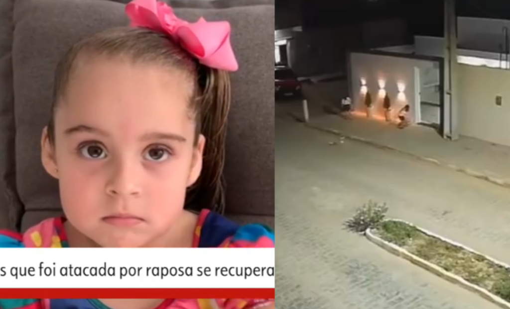 Foto: Reprodução/Vídeo g1