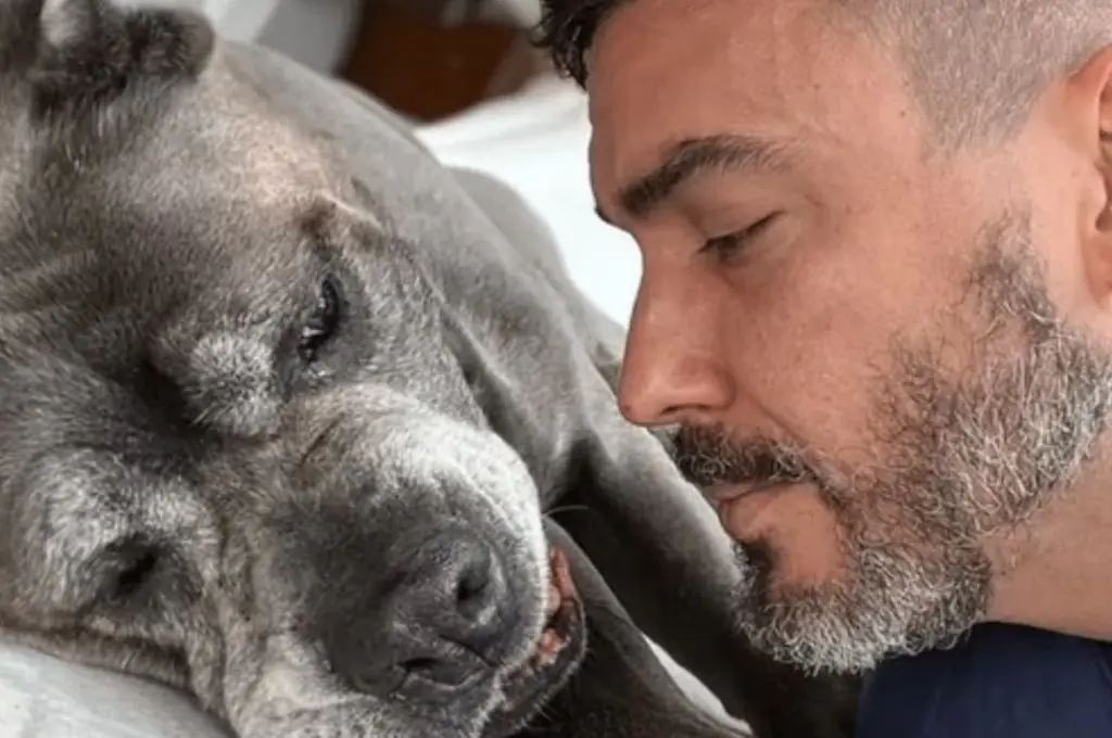 Andre Marques Cachorra (1)