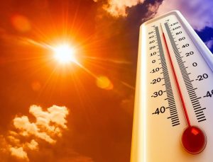 Calor(1)