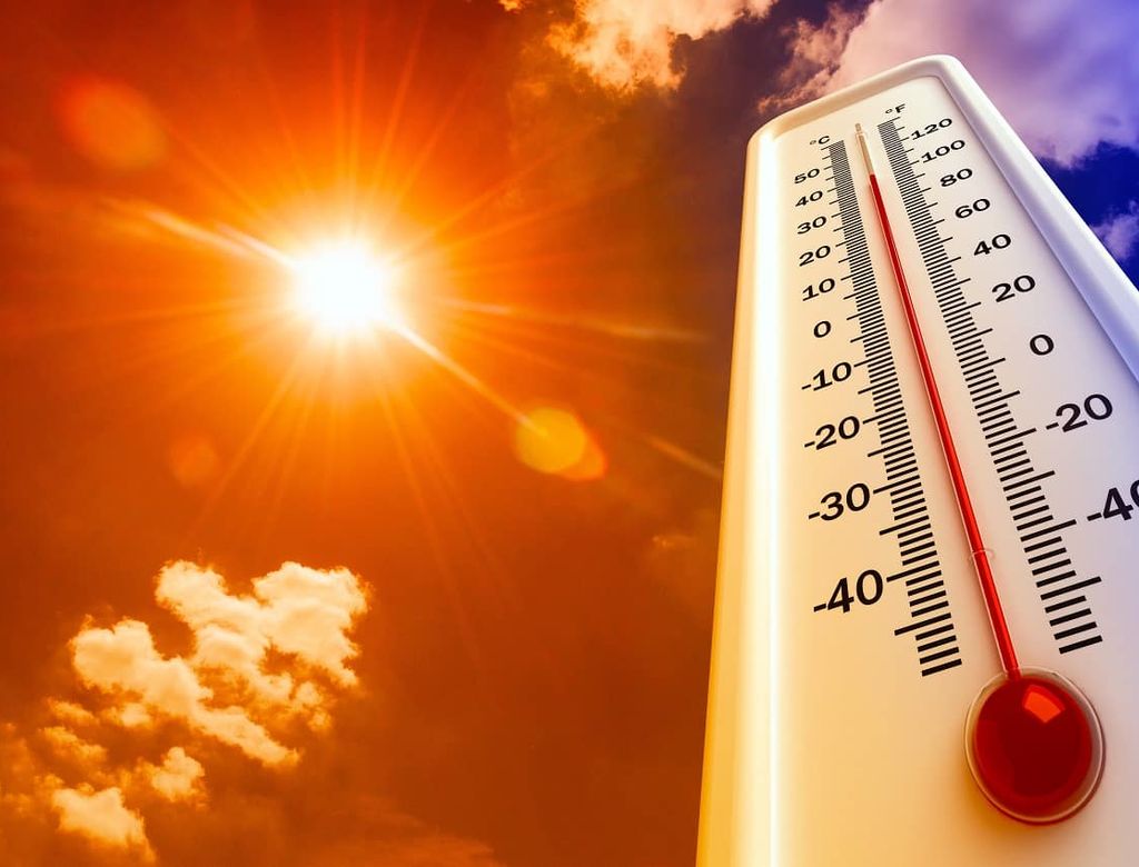 Calor(1)