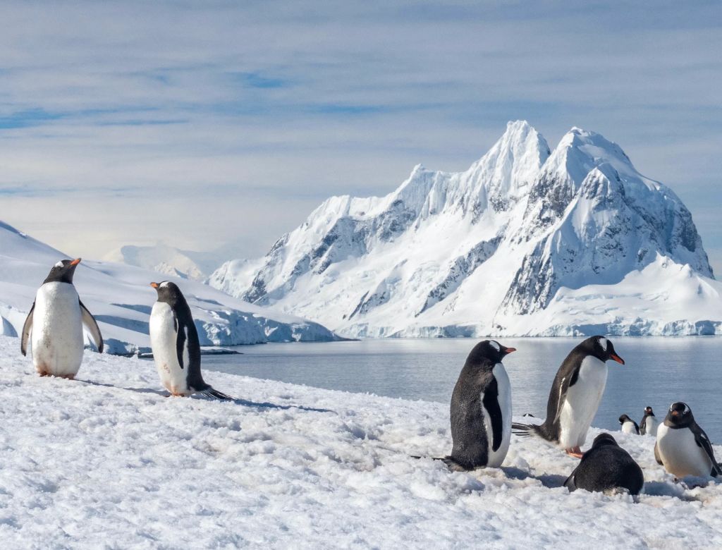 Antártica (foto Reprodução Redes Sociais) (1)