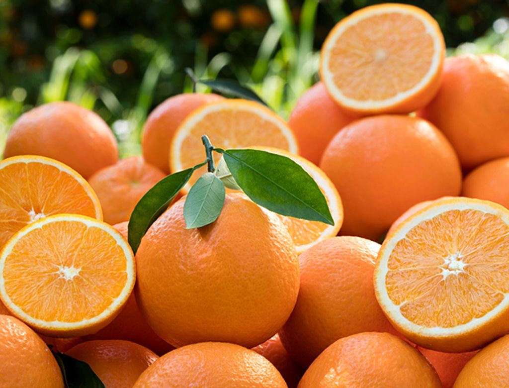 Beneficios Da Laranja 6(1)