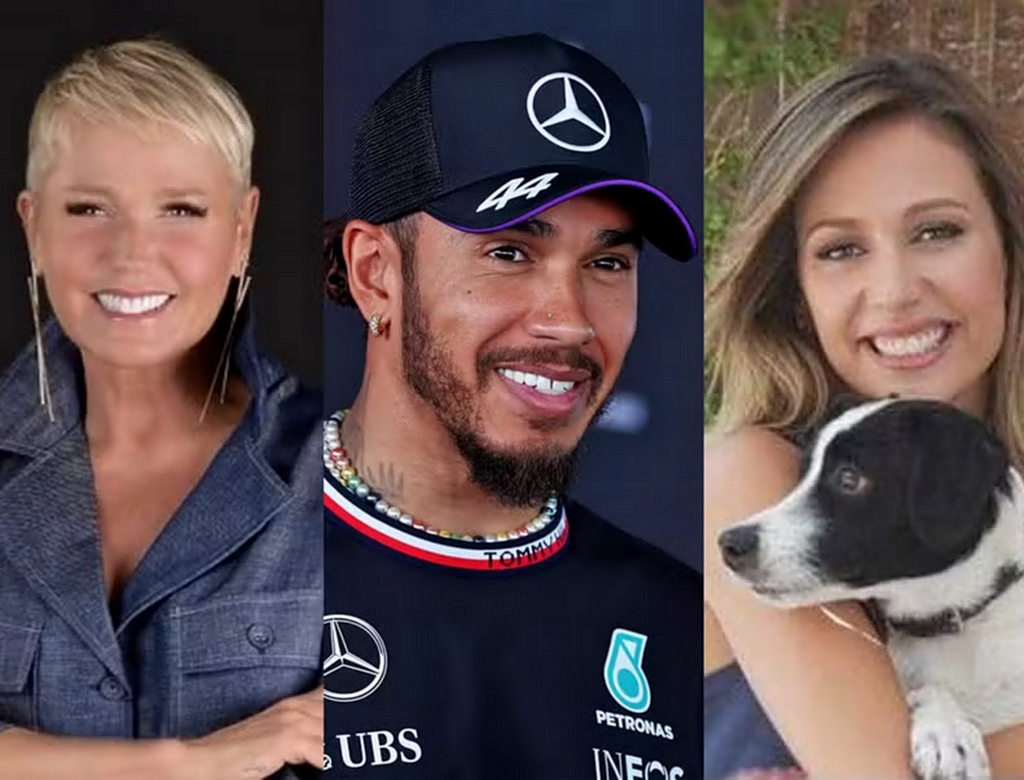 Artistas Veganos (foto Reprodução Redes Sociais)