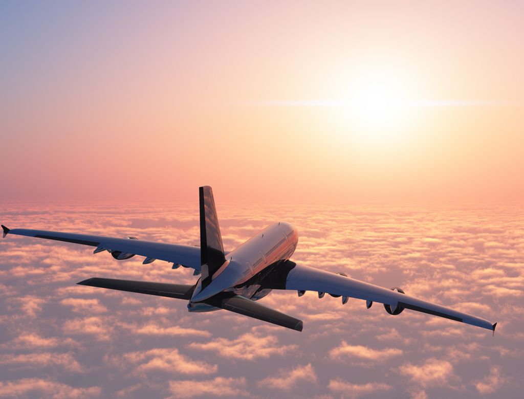 Aviýo Shutterstock 255197383