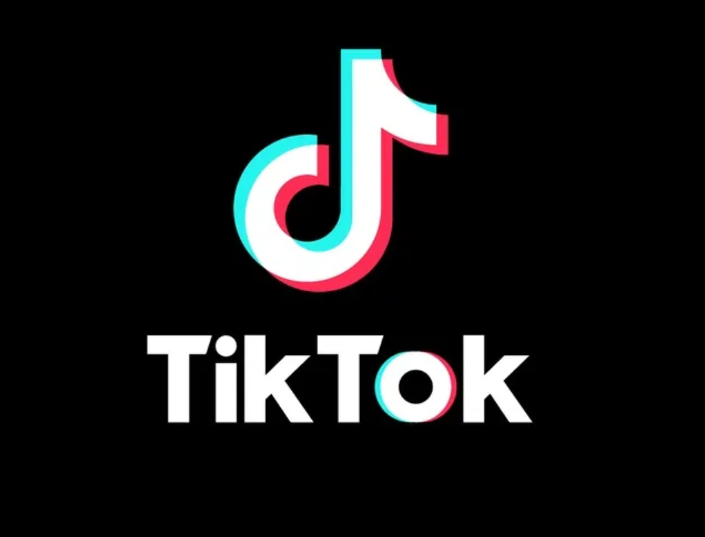 TikTok (Foto Reprodução Redes Sociais)