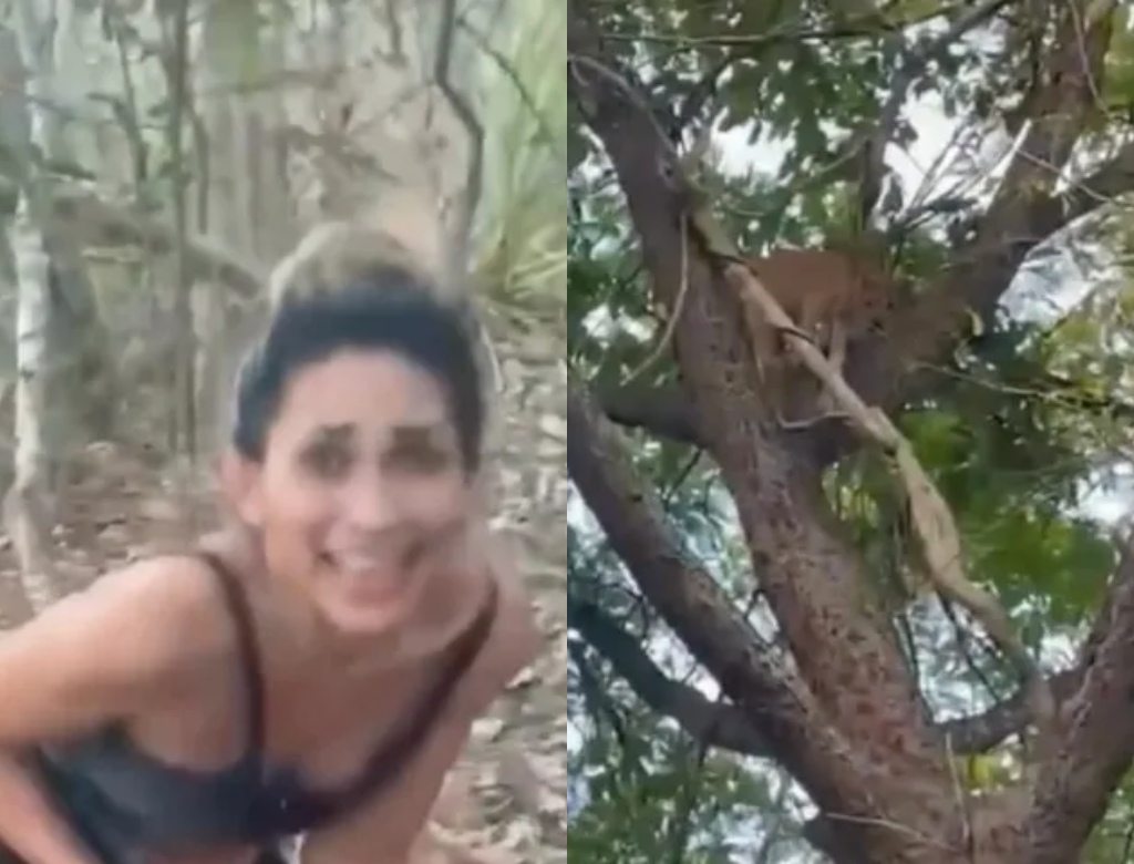 Mulher Que Matou Onça (foto Reprodução Redes Sociais)