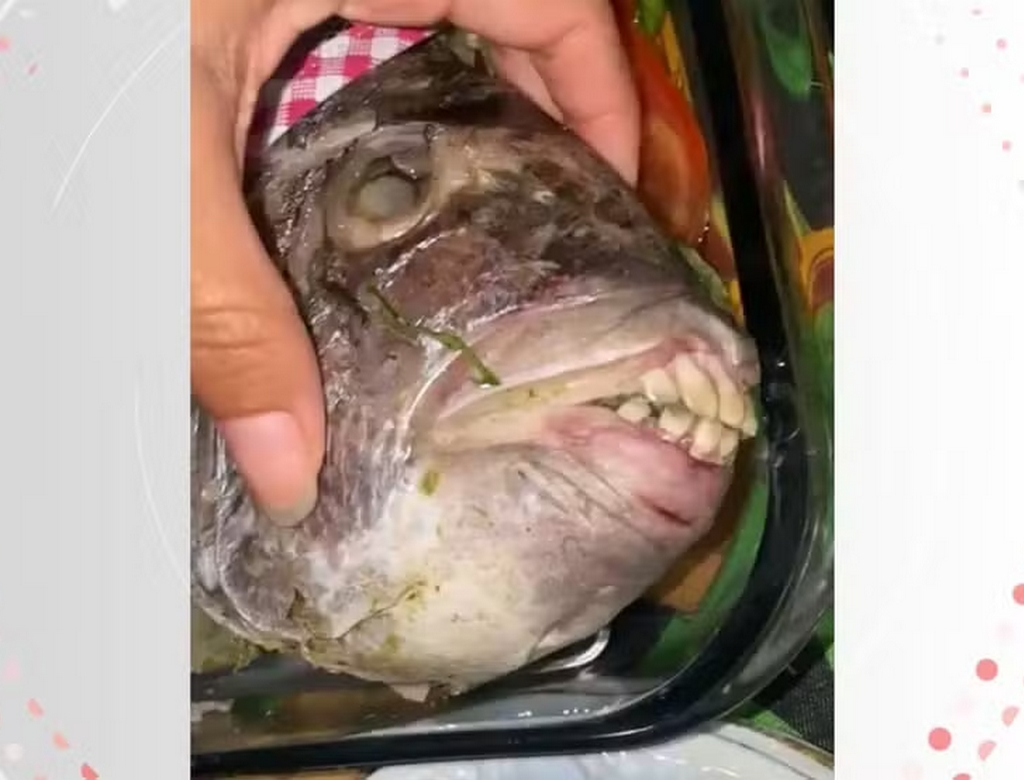 Peixe (foto Reprodução Redes Sociais) 1