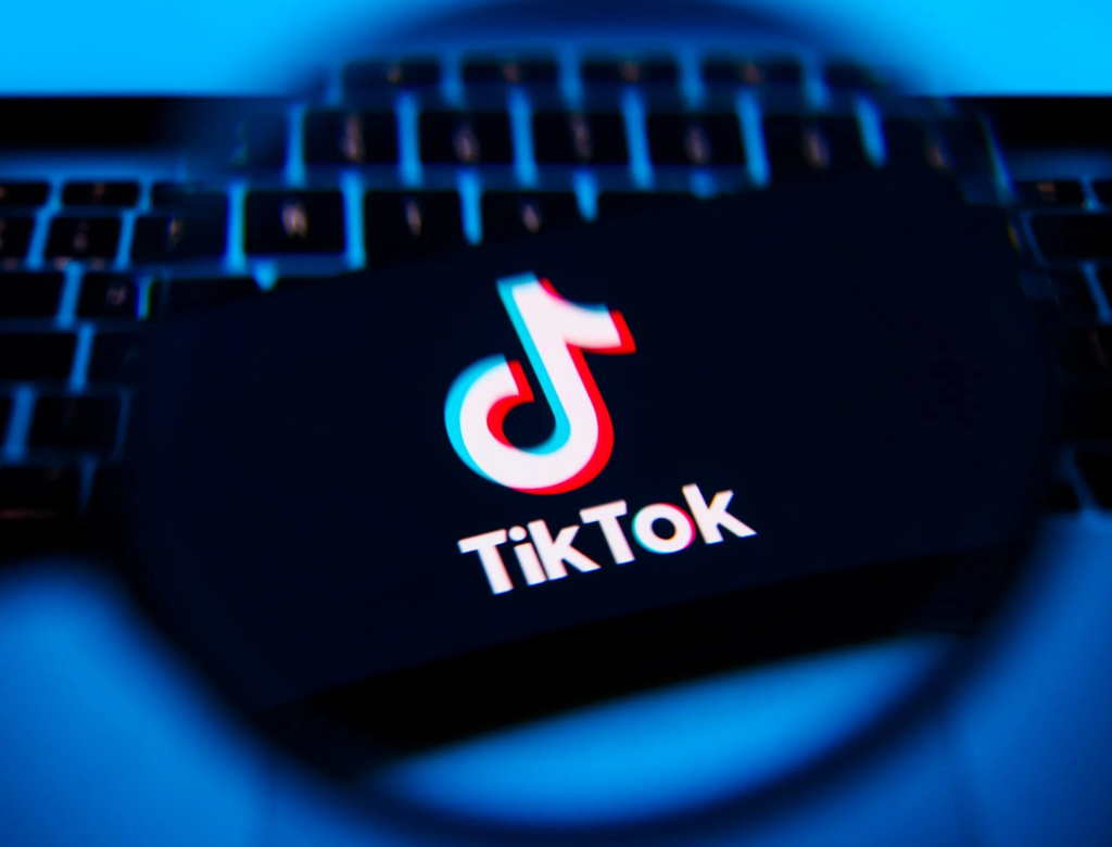 Tiktok (foto Reprodução Redes Sociais)