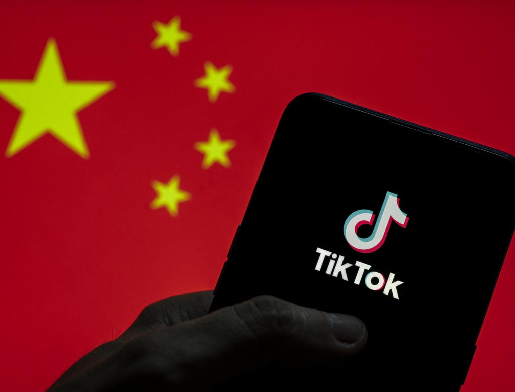Tiktok (foto Reprodução Redes Sociais)
