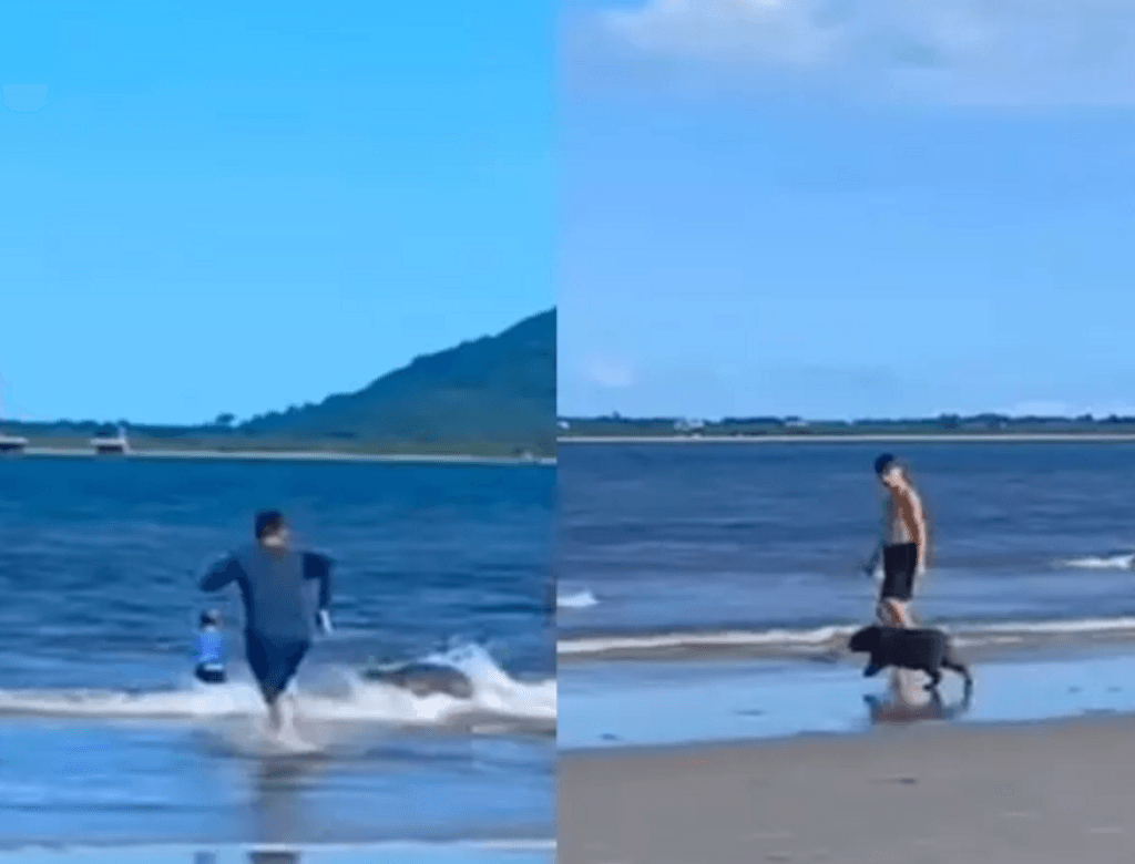 Capivara Praia(1)