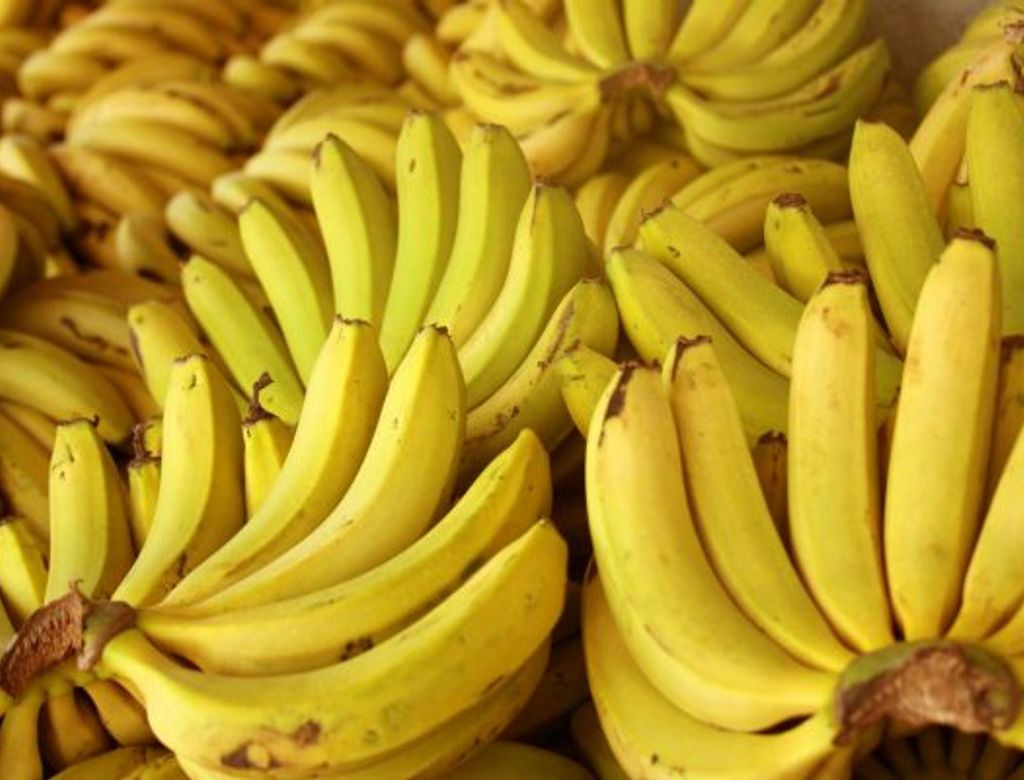 Banana Nanica 28.9.2011 645 600x400(1)