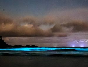 Praia (foto Reprodução Redes Sociais) 2