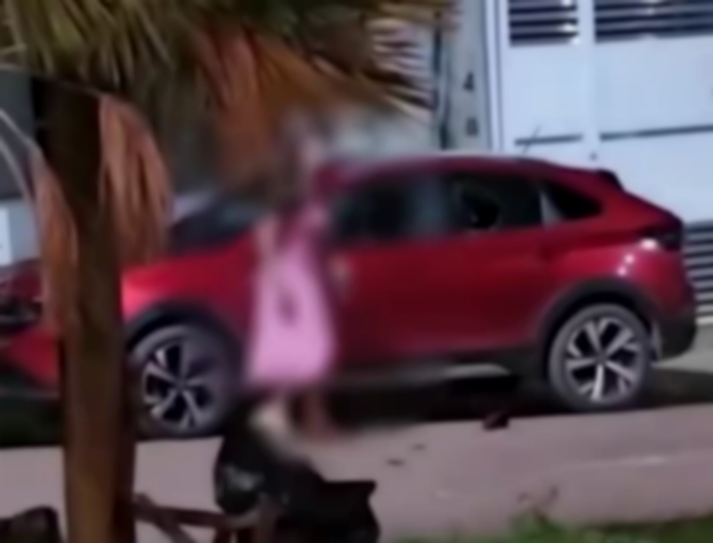 Briga (foto Reprodução Redes Sociais) 2