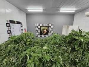 Images(12)