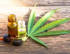 Anvisa proíbe cosméticos com referência à cannabis no rótulo; saiba quais