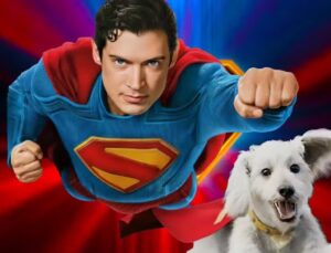 Krypto, o cachorrinho de ‘Superman’, impulsiona buscas por adoção de pets após estreia do filme