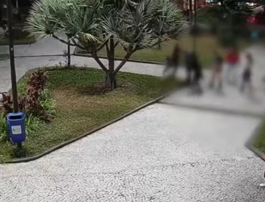 Agressão (foto Reprodução Redes Sociais)
