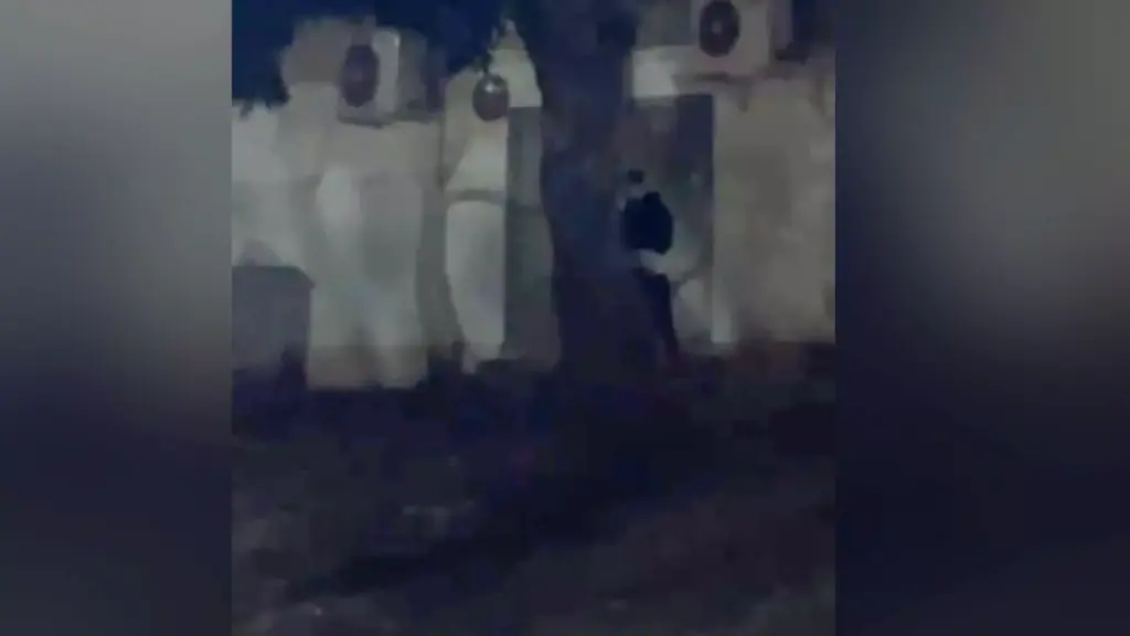 VÍDEO: Após assediar estudante, homem continuou se tocando em público