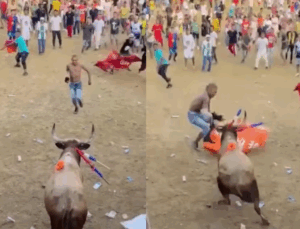VEJA VÍDEO: Homem morre após ser atingido por touro durante festival na Colômbia