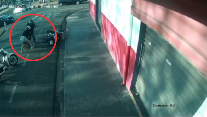 Veja: pitbull ataca ferozmente três pessoas em São José do Rio Preto