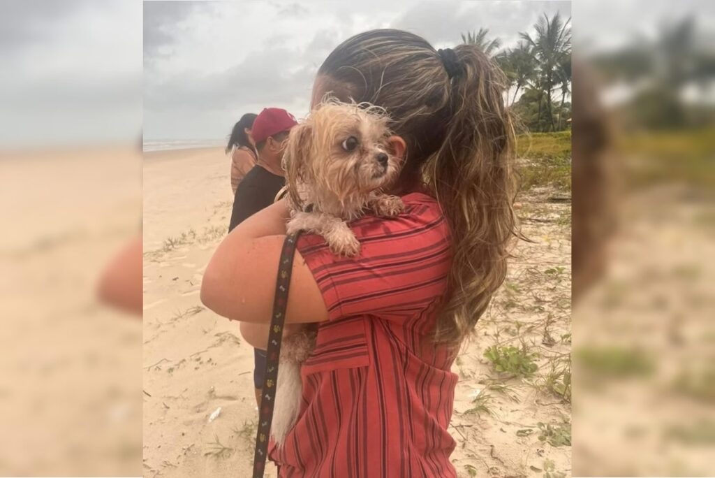 Cão de mulheres assassinadas em Ilhéus é encontrado vivo e amarrado próximo aos corpos