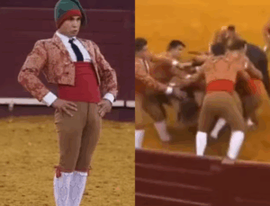 VEJA VÍDEO: Toureiro morre aos 22 anos após ser atingido por touro de quase 700 kg
