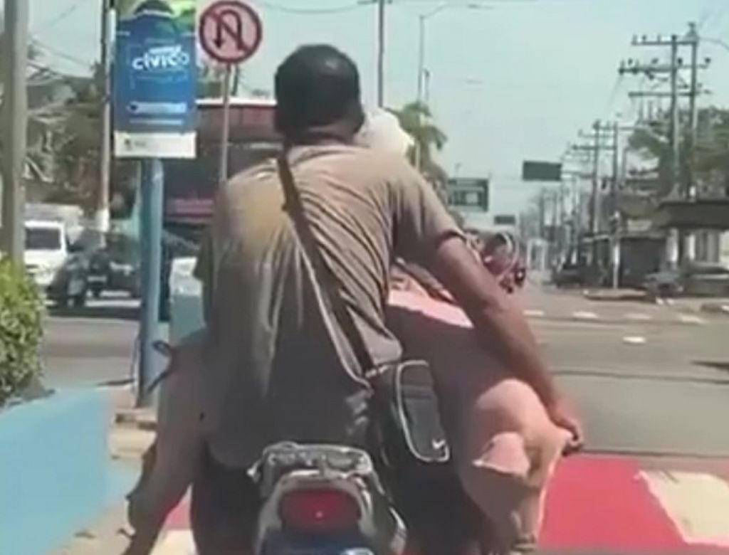 Homens levam porco vivo em moto por ruas de Belford Roxo
