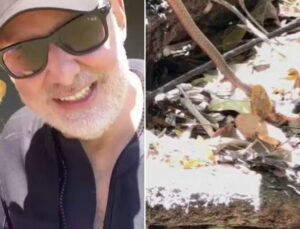 Duas cobras são flagradas por guia brigando no meio do mato; veja VÍDEO