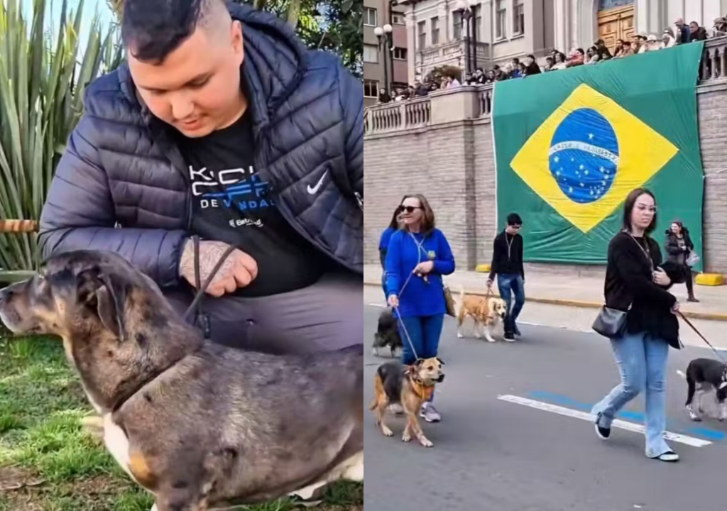 Homem encontra cachorro perdido (Foto: Reprodução)