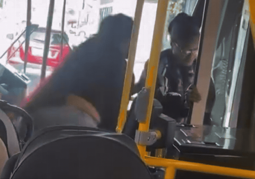Mulher agride idosa no ônibus (Foto: Reprodução)