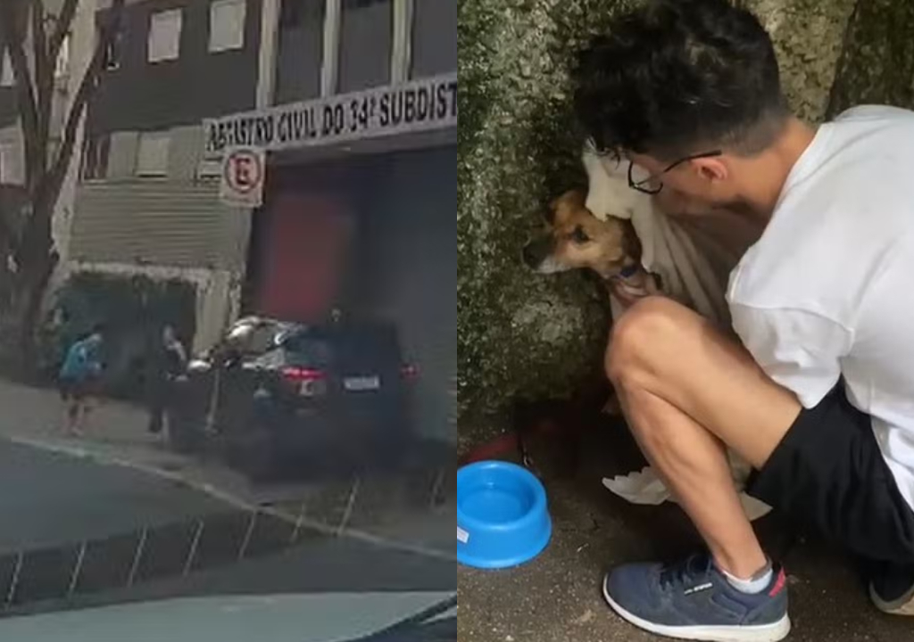 Casal com cachorro é atropelado (Foto: Reprodução)