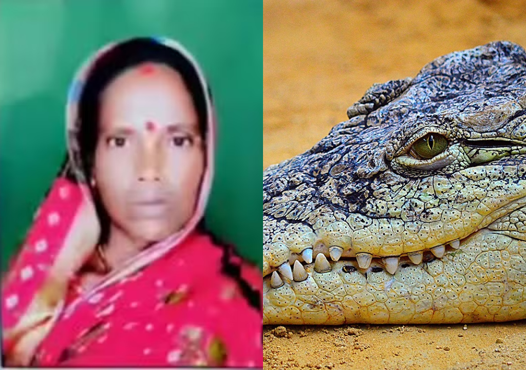 Mulher indiana é morta por crocodilo (Foto: Reprodução)