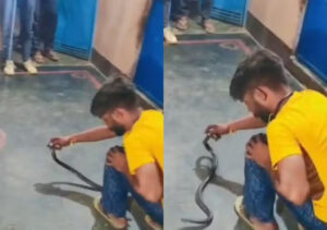 Homem é picado por cobra (Foto: Reprodução)