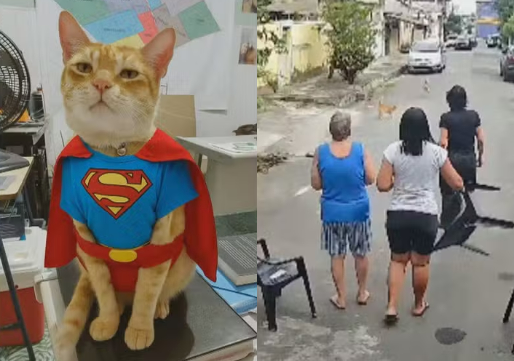 Gato Madruga e tutora (Foto: Reprodução)