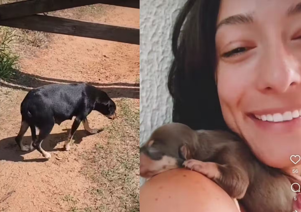 Caá Cardoso e Mikaela (Foto: Reprodução)