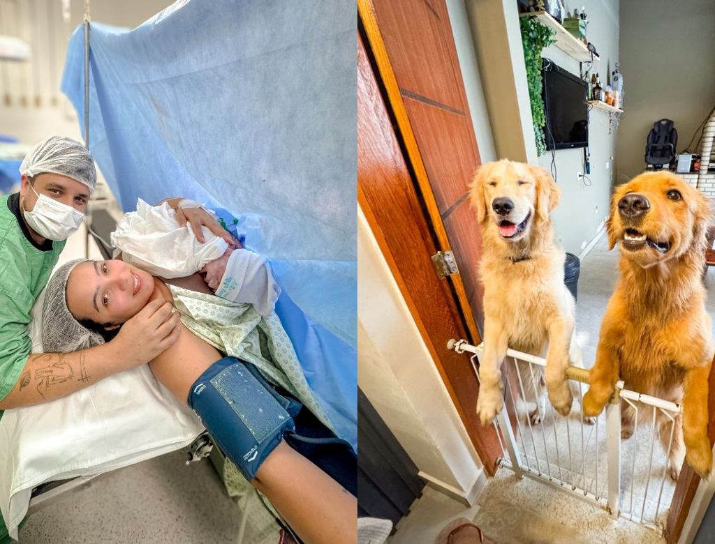 Reação de cães após nascimento de bebê encanta a web; veja vídeo