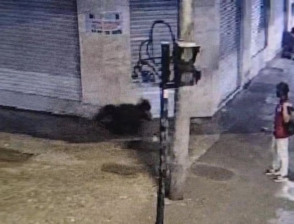 Violência: Homem agride mulher com mata-leão; Veja vídeo!