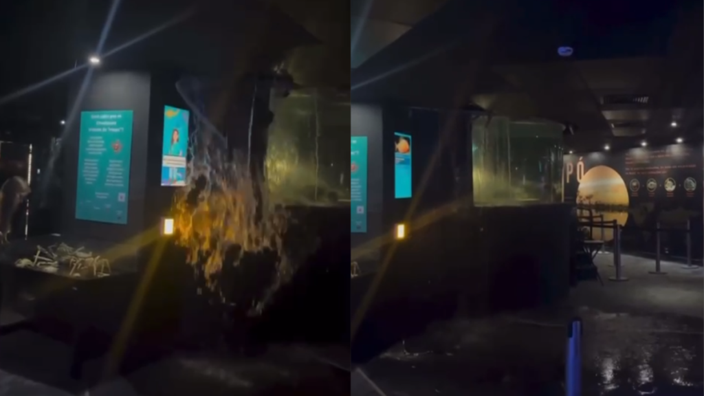 Vídeo: teto desaba após vazamento de aquário no Rio de Janeiro