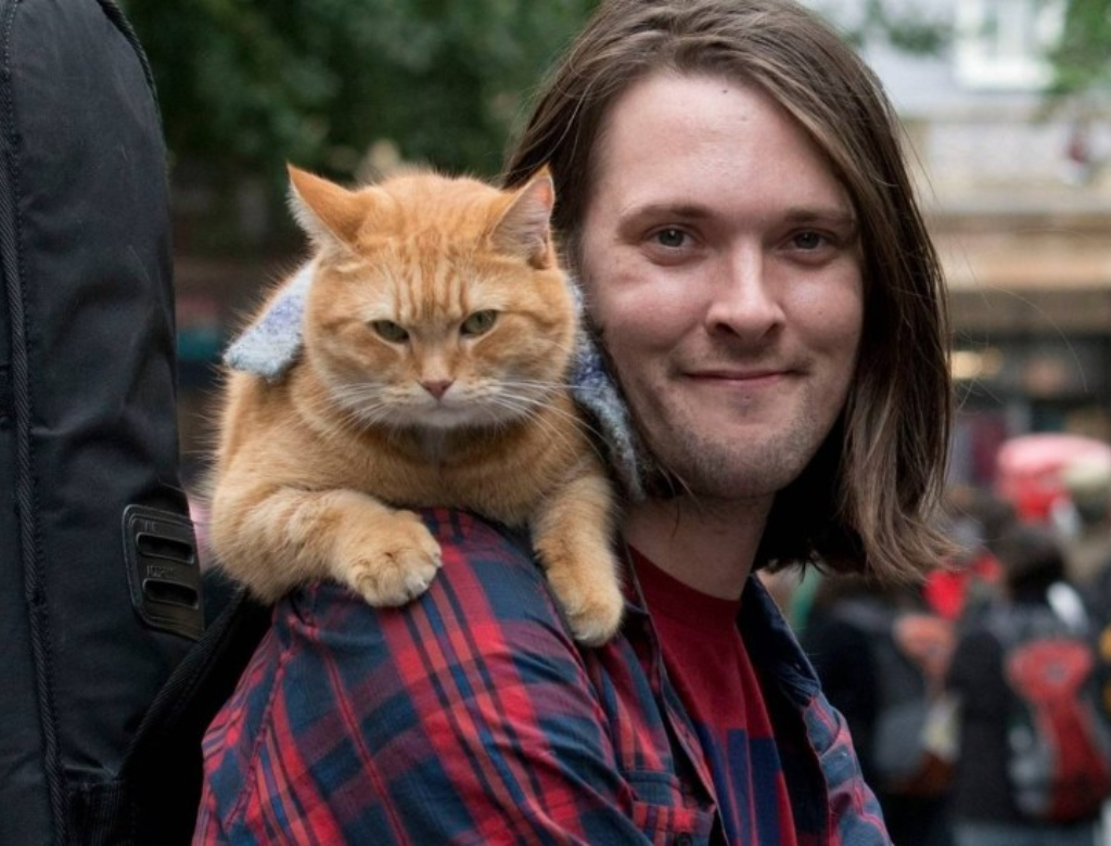 Bowen e Bob (Foto: Reprodução)