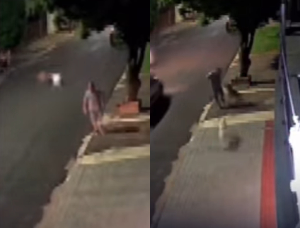 Homem é atacado por pitbulls (Foto: Reprodução)
