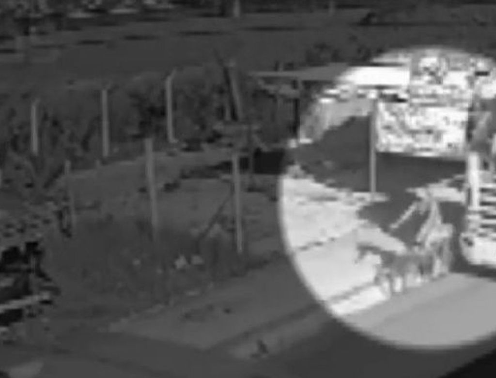 Vídeo mostra momento em que ciclista é atropelada por carreta