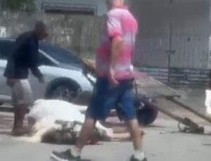 Vídeo mostra cavalo exausto com carroça; homem denuncia maus-tratos; confira!