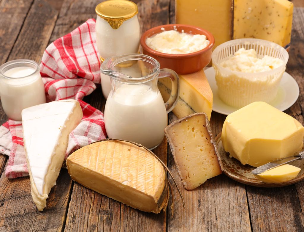 Leite vegetal é melhor? Queijo gordo é sempre pior? Especialistas desmentem cinco mitos a respeito dos laticínios