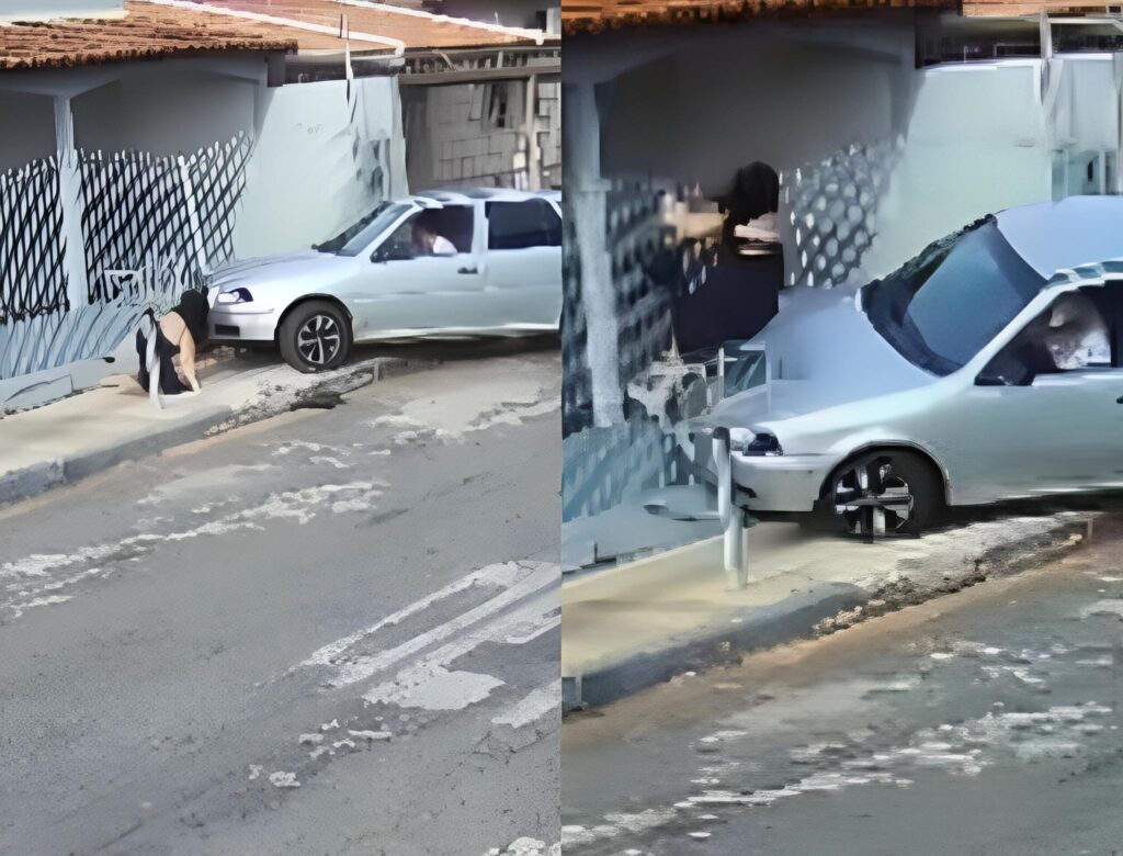 Homem tenta atropelar ex-mulher (Foto: Reprodução)