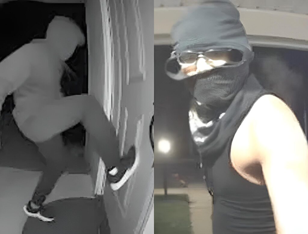 Trend no TikTok (Foto: Reprodução)