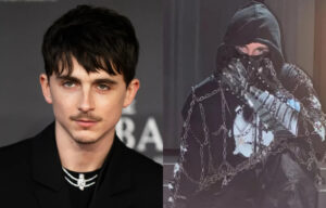Timothée Chalamet (Foto: Reprodução)