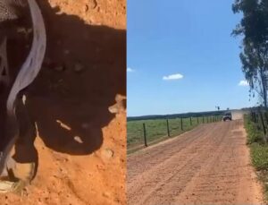 Jovem passa por série de imprevistos durante passeio de bicicleta; veja VÍDEO