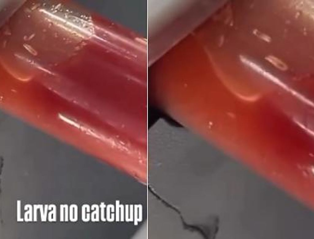 Meu Deus! Vídeo mostra larvas em dispenser de ketchup no McDonald’s de Cuiabá; Assista!